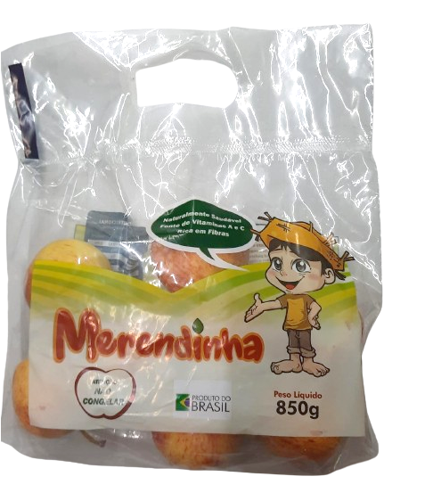 MACA GALA MERENDINHA 850GR