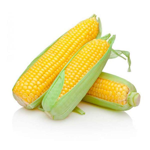 MILHO VERDE UN                        