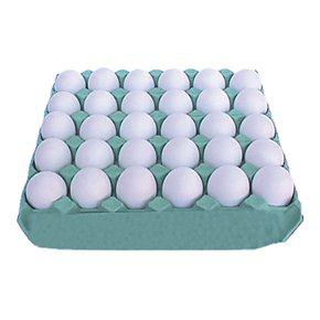 OVOS BRANCO 5 IRMAOS CARTELA C/30 UND