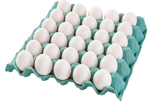 OVOS BRANCO 5 IRMAOS CARTELA C/30 UND