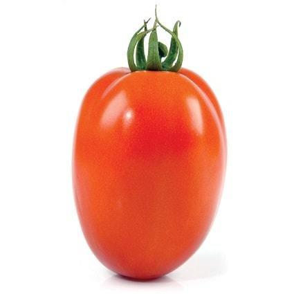 TOMATE DEBORA KG                               