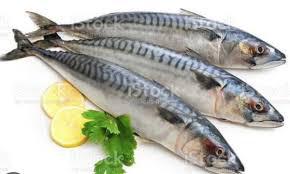 CAVALINHA INTEIRA CABO FRIO PCT 1KG