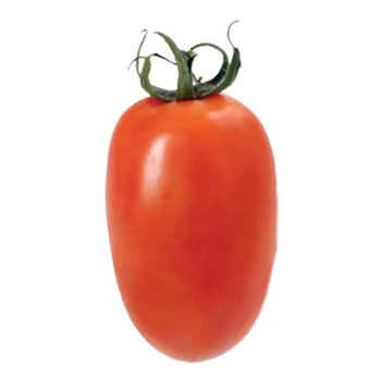Tomate Italiano Kg