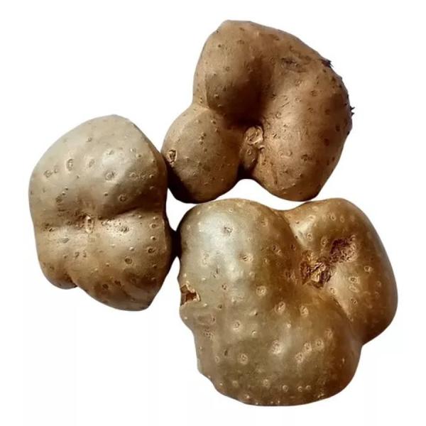 CARAMOELA 500G BD TROPICAL