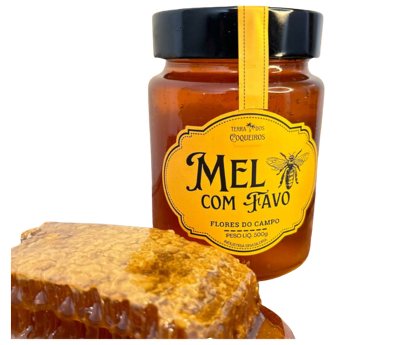 MEL FAVO TERRA DOS COQUEIROS 500G