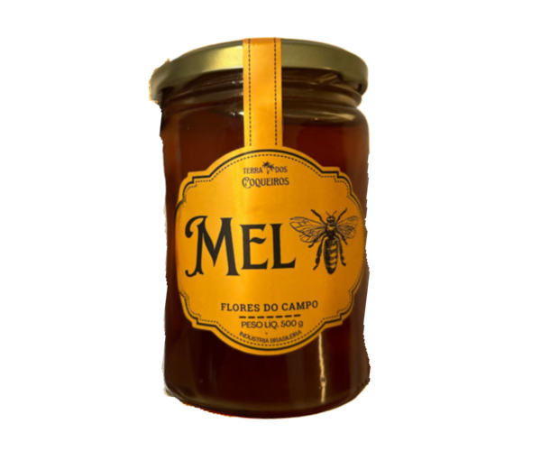 MEL TERRA DOS COQUEIROS 500G