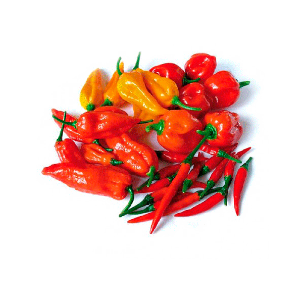 PIMENTA BIQUINHO 180G BD.