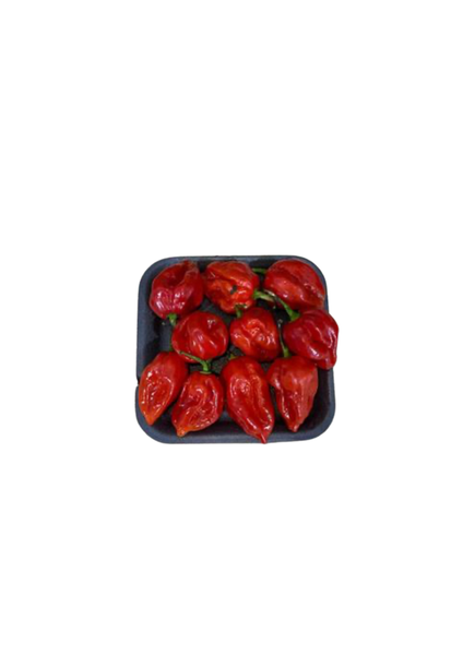 PIMENTA RABANERA 180G BD