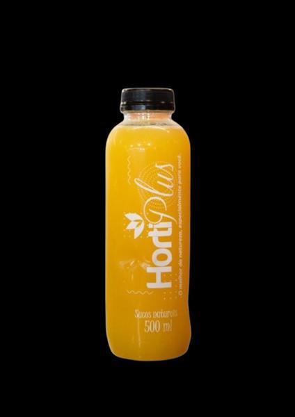 SUCO HORTIPLUS 500ML UND