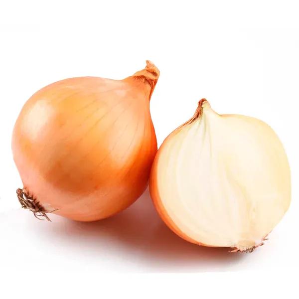 CEBOLA NACIONAL KG KG