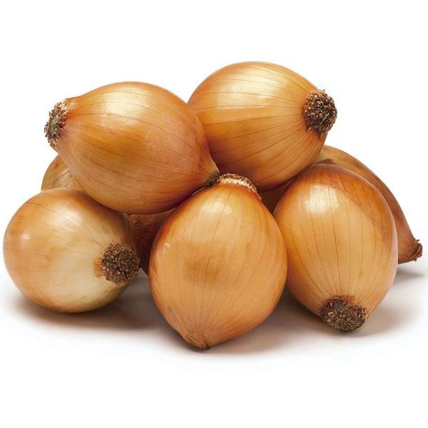 CEBOLA PIRULITO KG KG