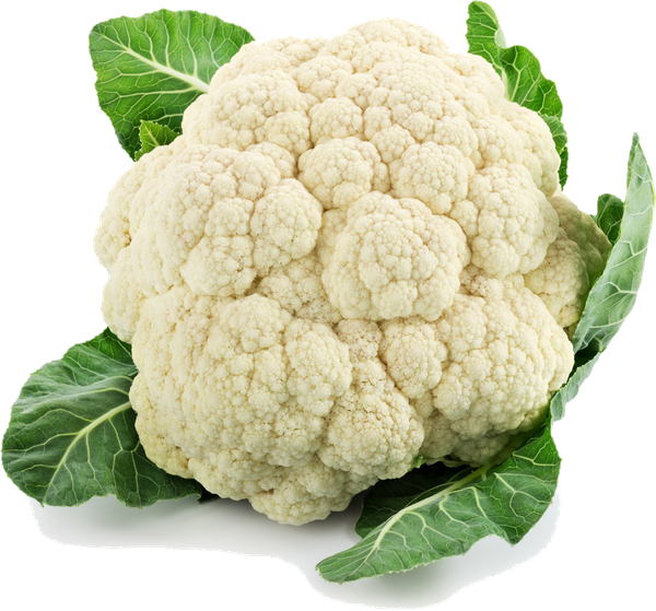 COUVE FLOR FLAMAR UN UND