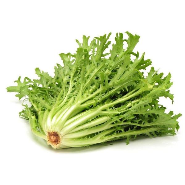 ESCAROLA UN PRE LAVADA UND