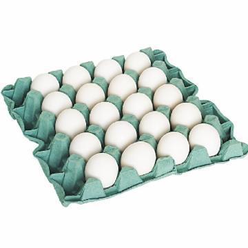 OVO SOEGGS BANDEJA 20 UN UND