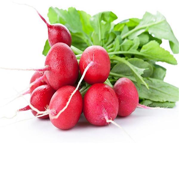 RABANETE HORTI NAKASHIMA UN UND