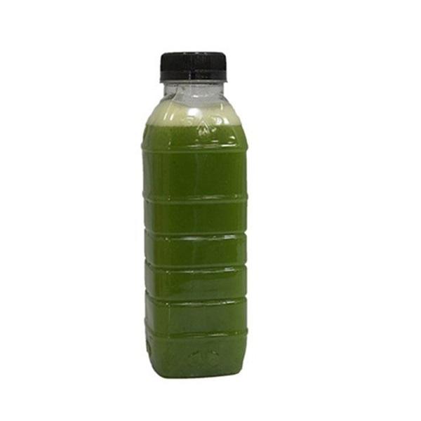 SUCO DE FRUT DETOX 500ML GARRAFA UND