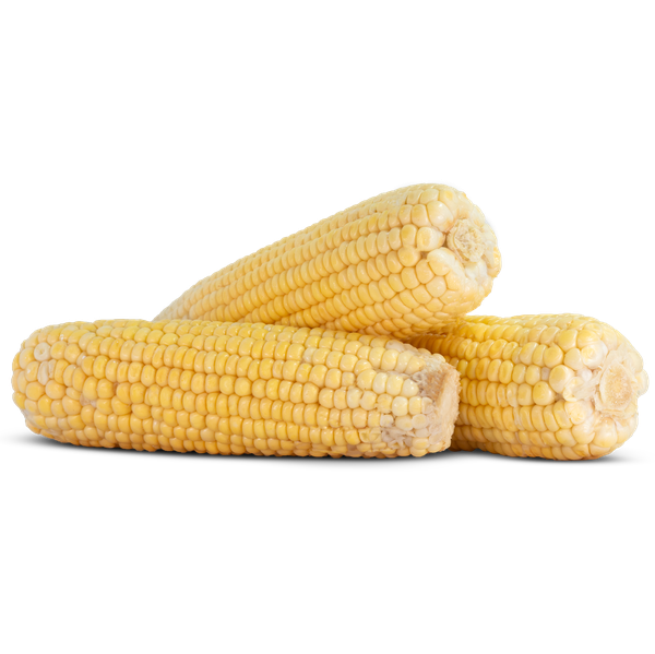 Milho Verde Pacote Kg