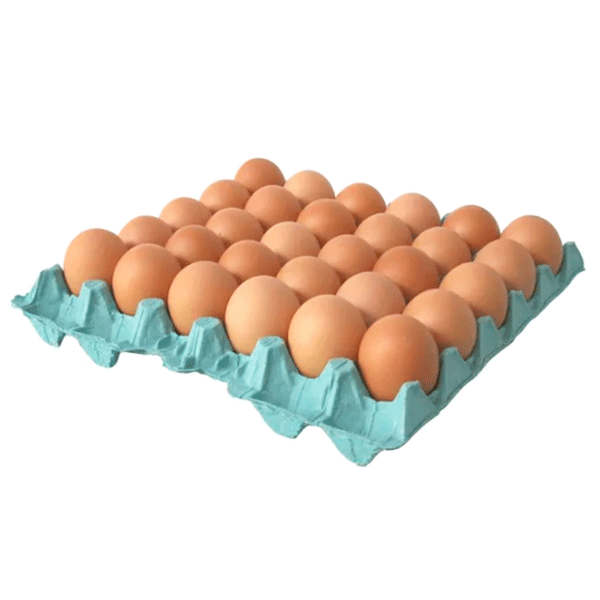 Ovos Vermelhos c/30 Becker