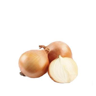 CEBOLA BRANCA CIALHO 500GR