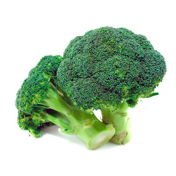 BROCOLIS KG