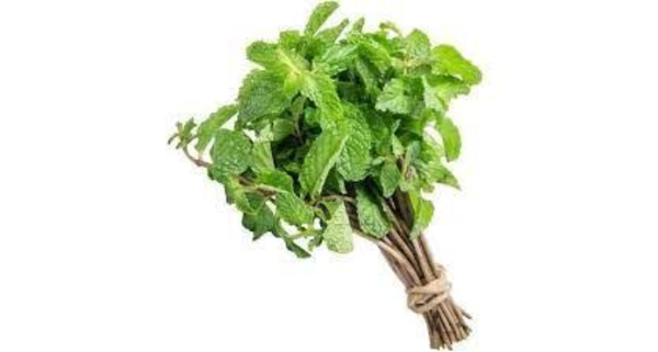 HORTELA UN