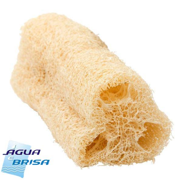 Bucha Vegetal Água e Brisa Pedaço