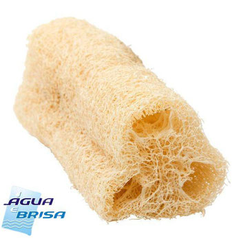 Bucha Vegetal Água e Brisa Pedaço