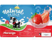 BEB POLPA NATURAL DA VACA SAL FRUTAS 540