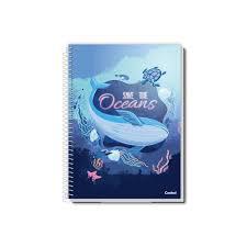 CADERNO UNIV MY COLLECT FEMININO 12M