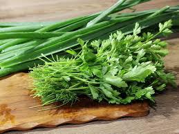 CHEIRO VERDE