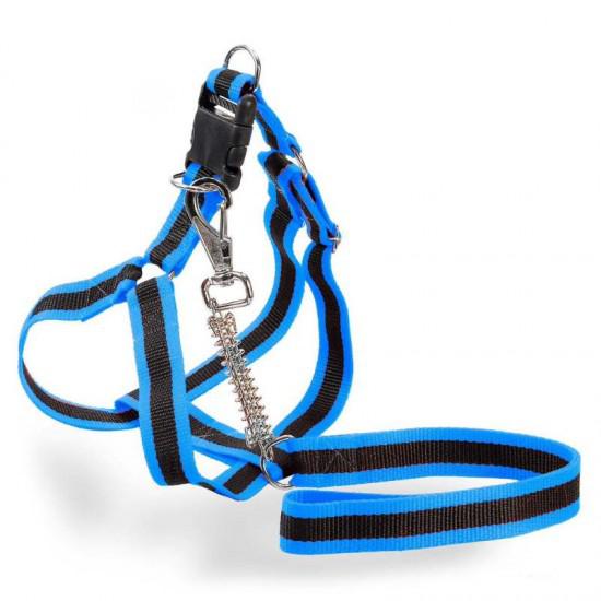 CONJ PEITO E GUIA NYLON PATA REG M CLUB