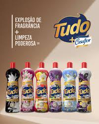 MULTIUSO TUDO+CASAFLOR INTUITIVE 500ML