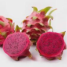 PITAYA KG
