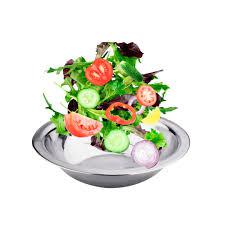 SALADEI FRANTELLI  INOX 24CM MAST COOK