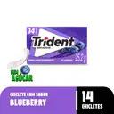 TRIDENT ECON 14S BLUEBERRY  25.2G