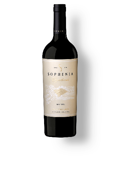 VINHO SYNTESIS TINTO SECO 750ML