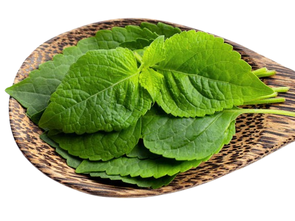 ALFAVACA