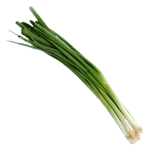 CEBOLINHA