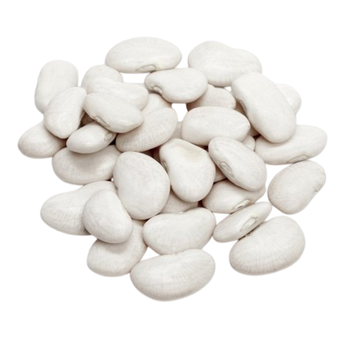FAVA BRANCA 1KG