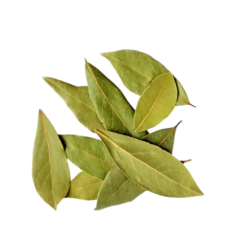 FOLHA DE LOURO GRAO TERRA 10G