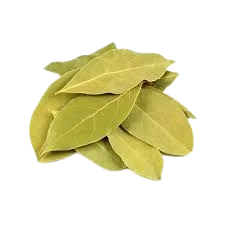 LOURO EM FOLHAS NOVO HORIZONTE 30G