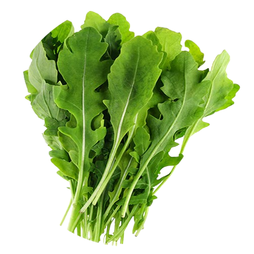 RUCULA