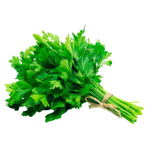SALSINHA