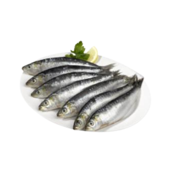 SARDINHA INTEIRA CONG PCT 800G