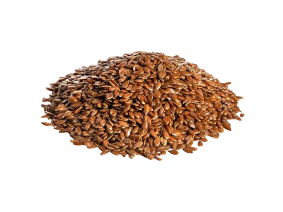 SEMENTE DE LINHACA BEM ESTAR MARROM 100G