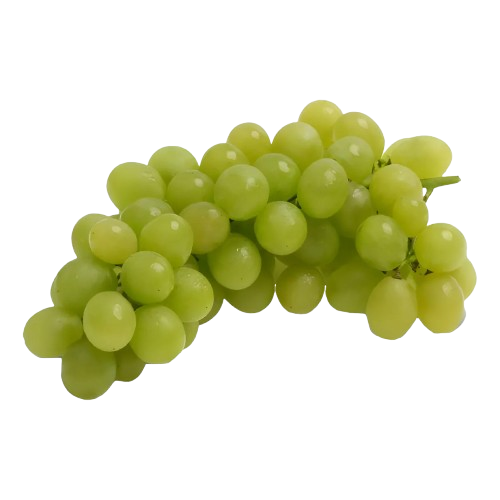 UVA ITALIA KG
