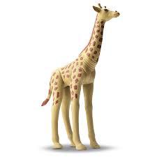 FLOREST GIRAFA