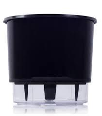 VASO OUROGARDEN BORDA PRETO N4
