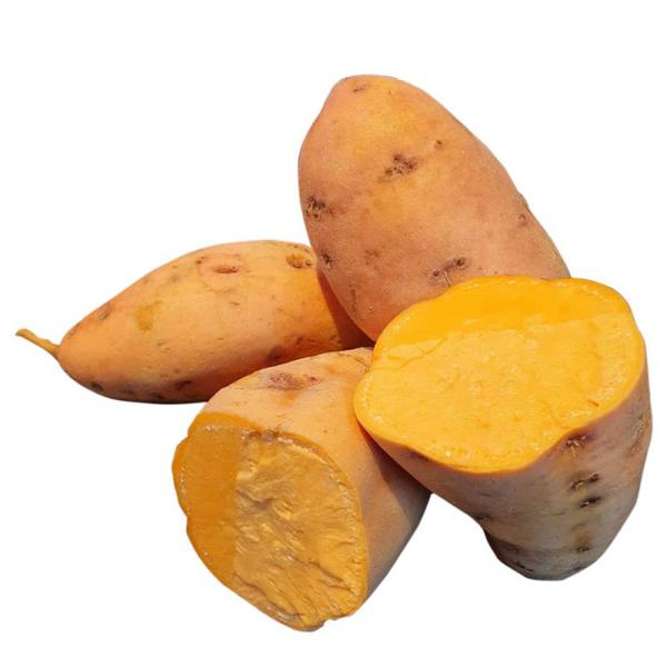 Batata Doce Amarela