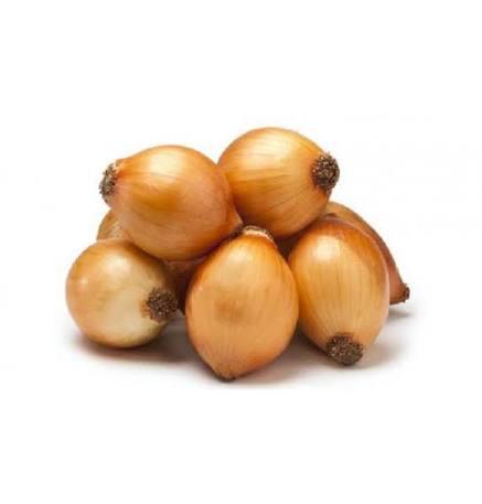 CEBOLA BRANCA KG CEASA
